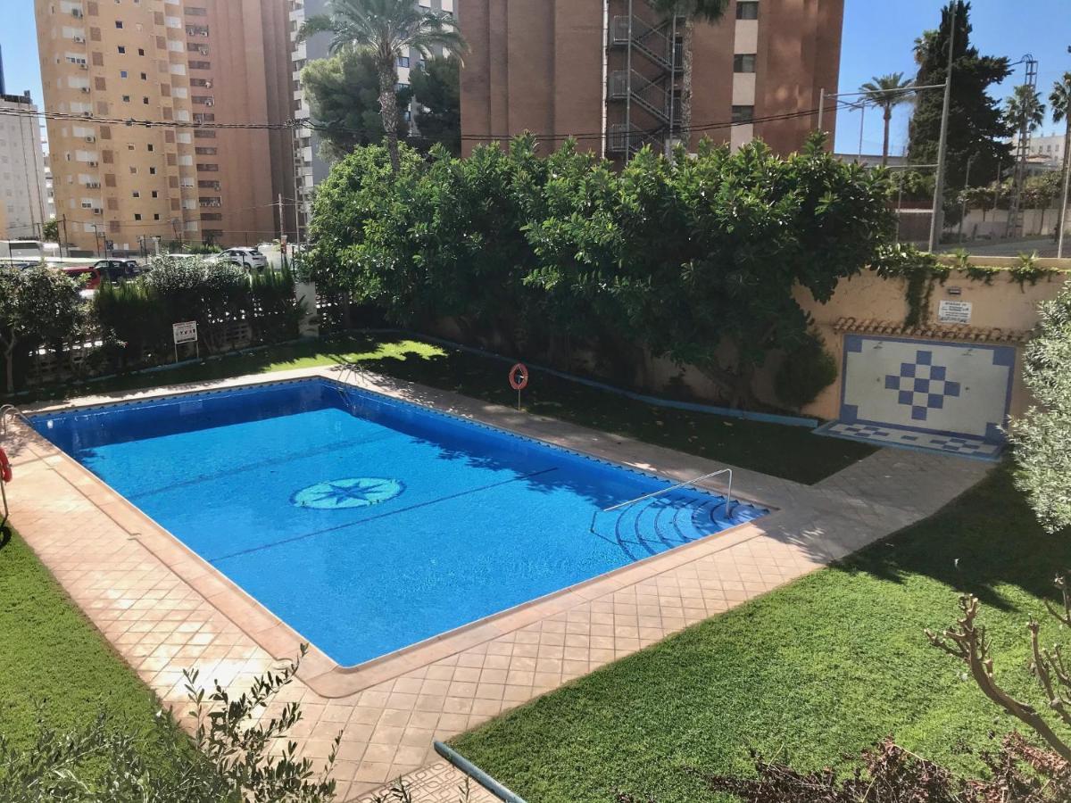 Acacias * Benidorm